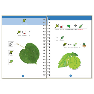 Symbook classe 3ª <br/> Scienze Base