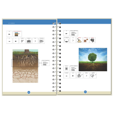 Symbook classe 3ª <br/> Scienze Esteso