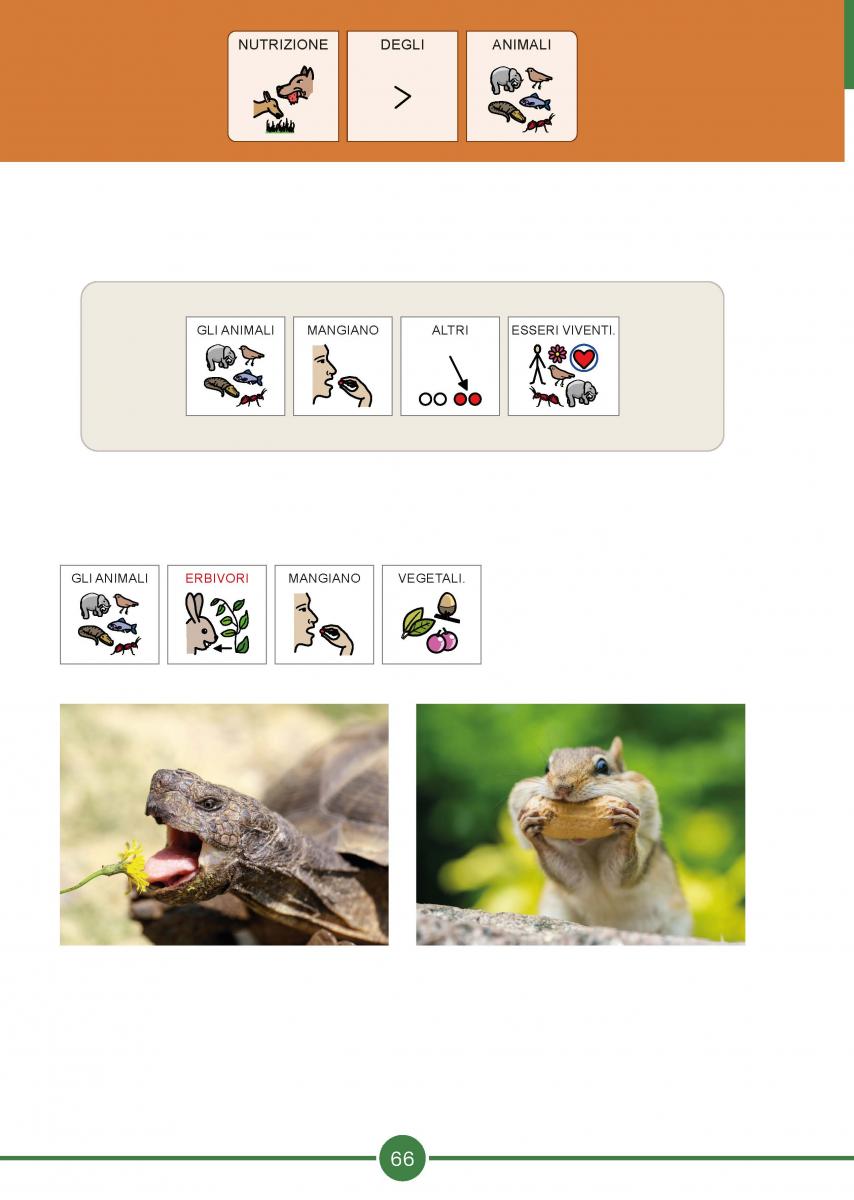 Pagina Libro Classe 4 Scienze