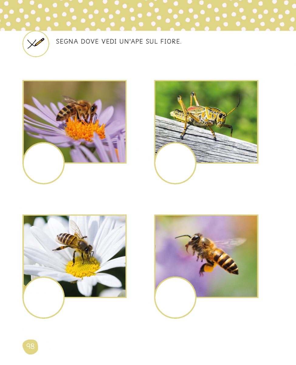 Pagina doppia con attività su natura e animali