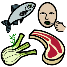 Copertina del volume L'Alimentazione