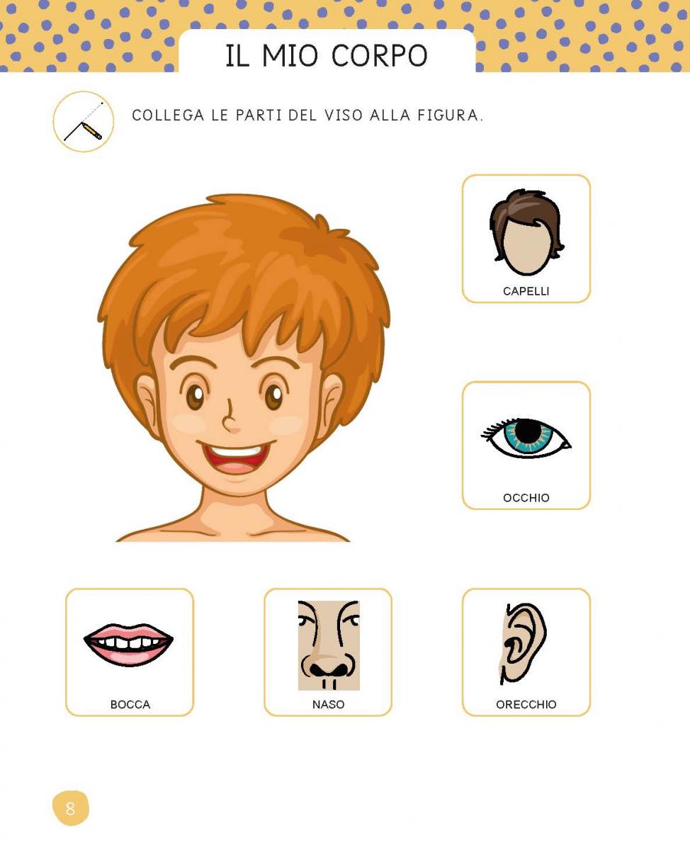 Pagina interna sul corpo